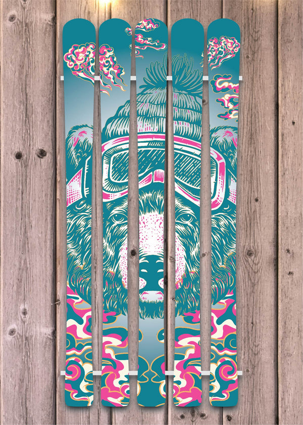 Tokey the bear skis